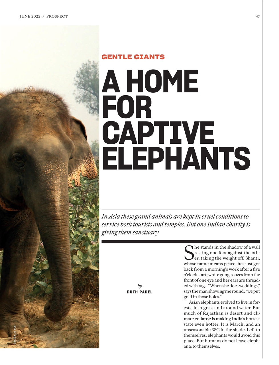 Prospect Magazine Preview Pages