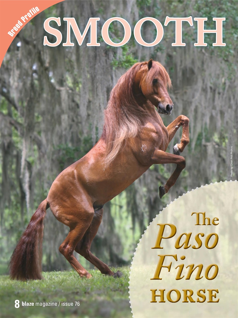 Blaze Magazine For Horse Crazy Kids Preview Pages