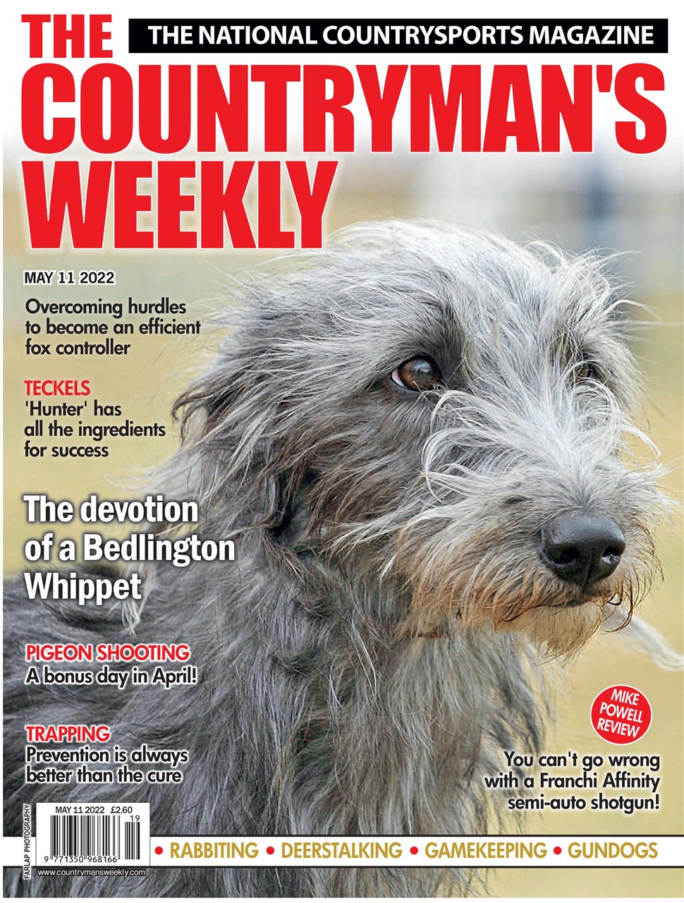 Countryman's Weekly Preview Pages