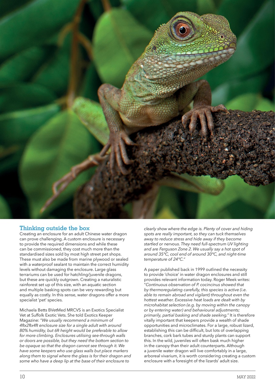 Exotics Keeper Preview Pages