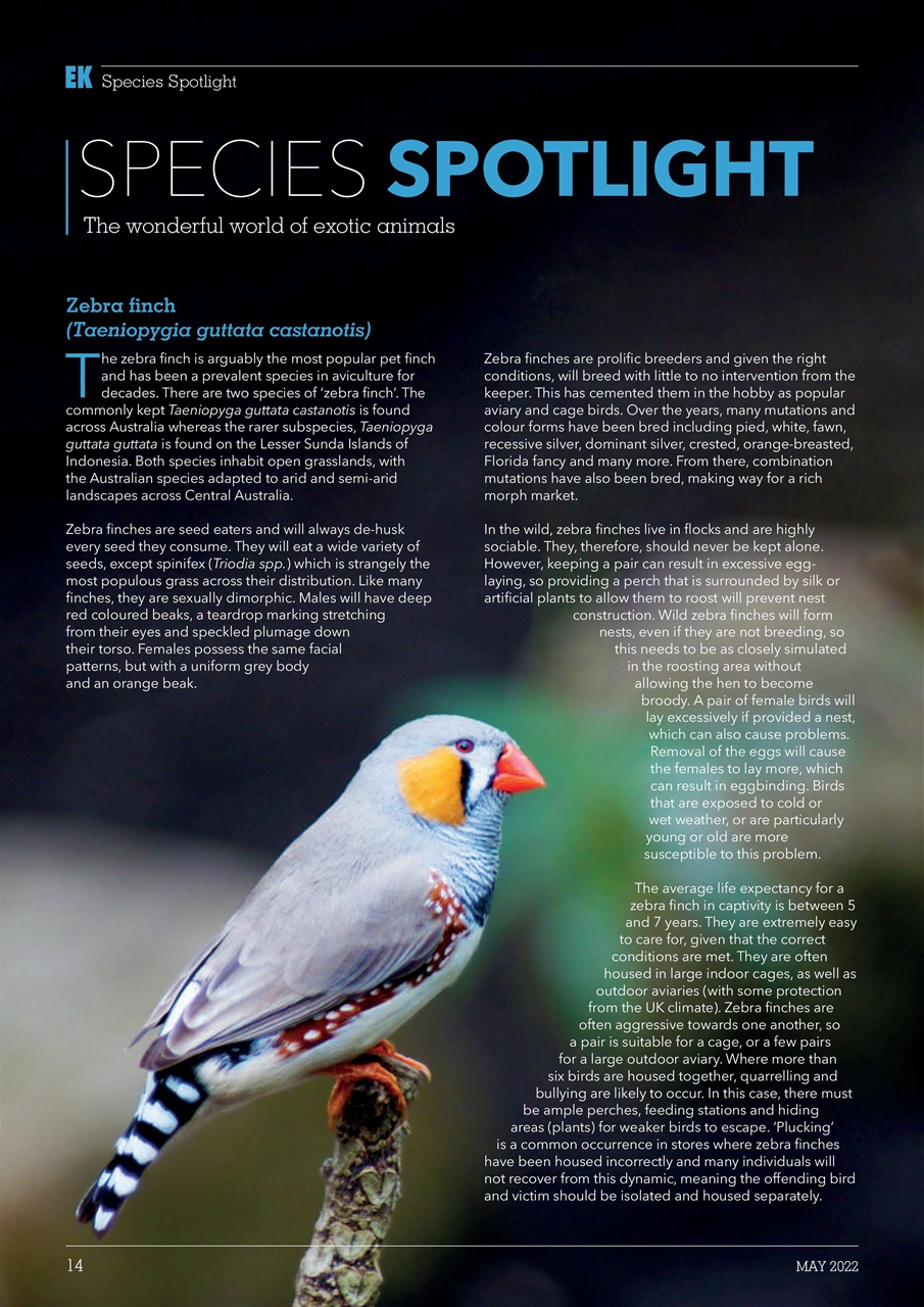 Exotics Keeper Preview Pages