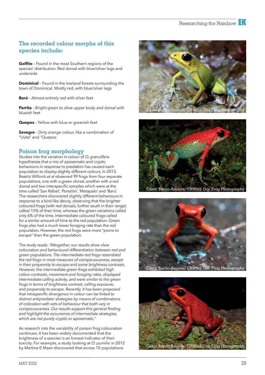 Exotics Keeper Preview Pages