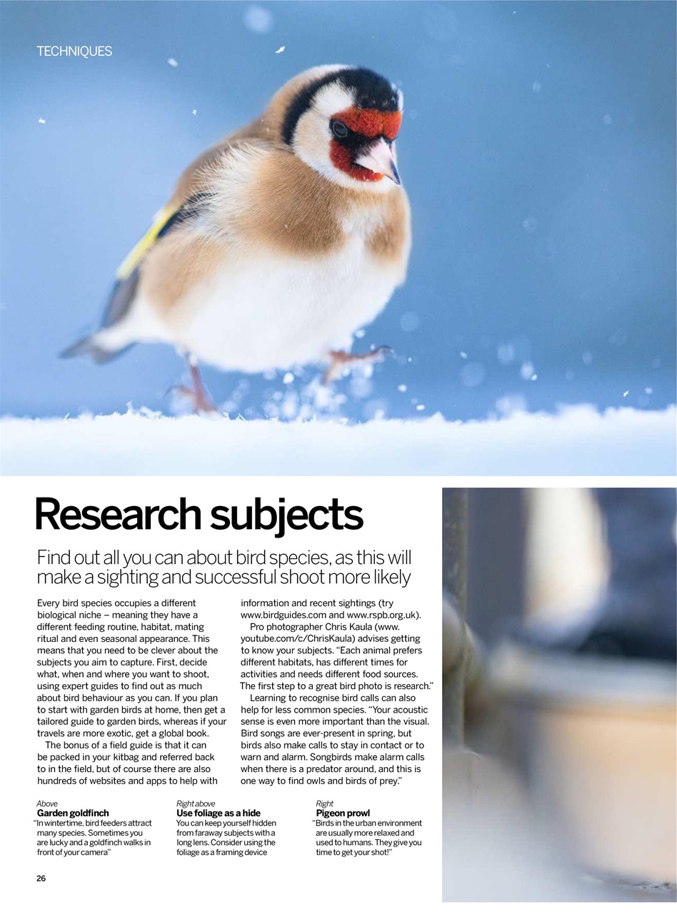 Digital Photographer Preview Pages