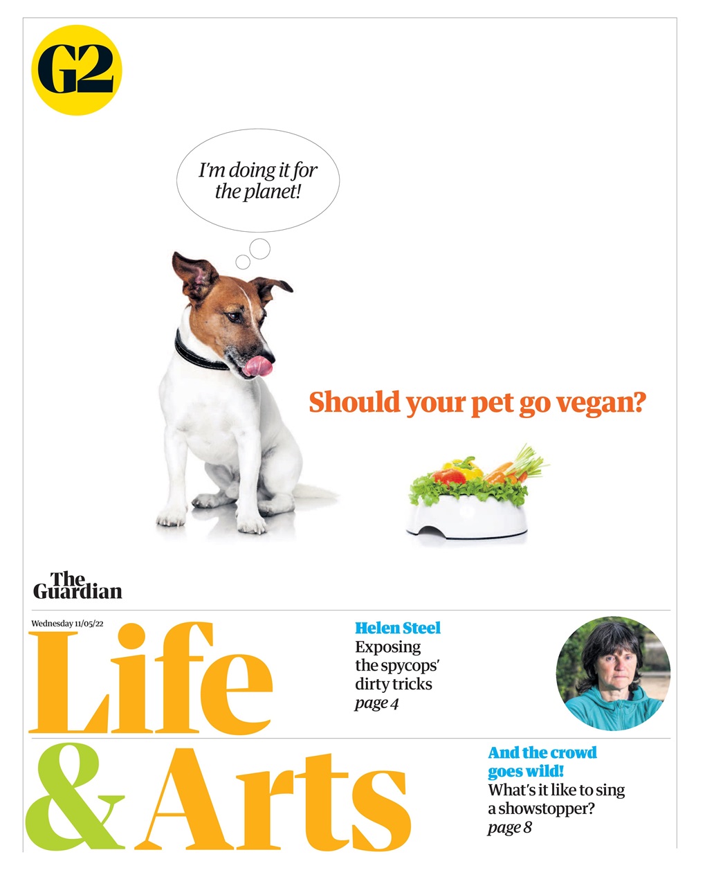 The Guardian Newspaper Preview Pages