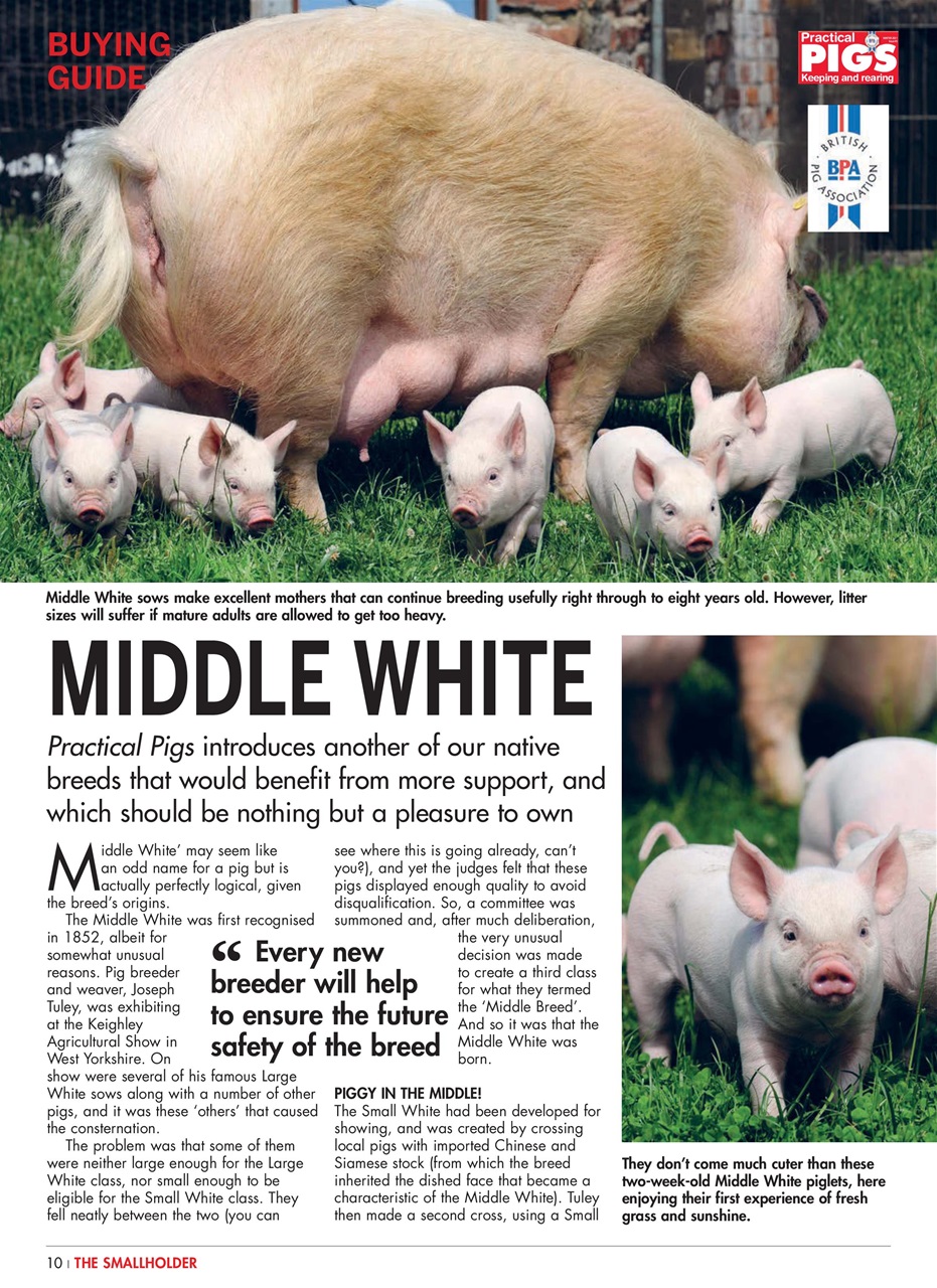 The Smallholder Preview Pages