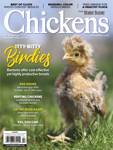 Chickens Magazine issue 