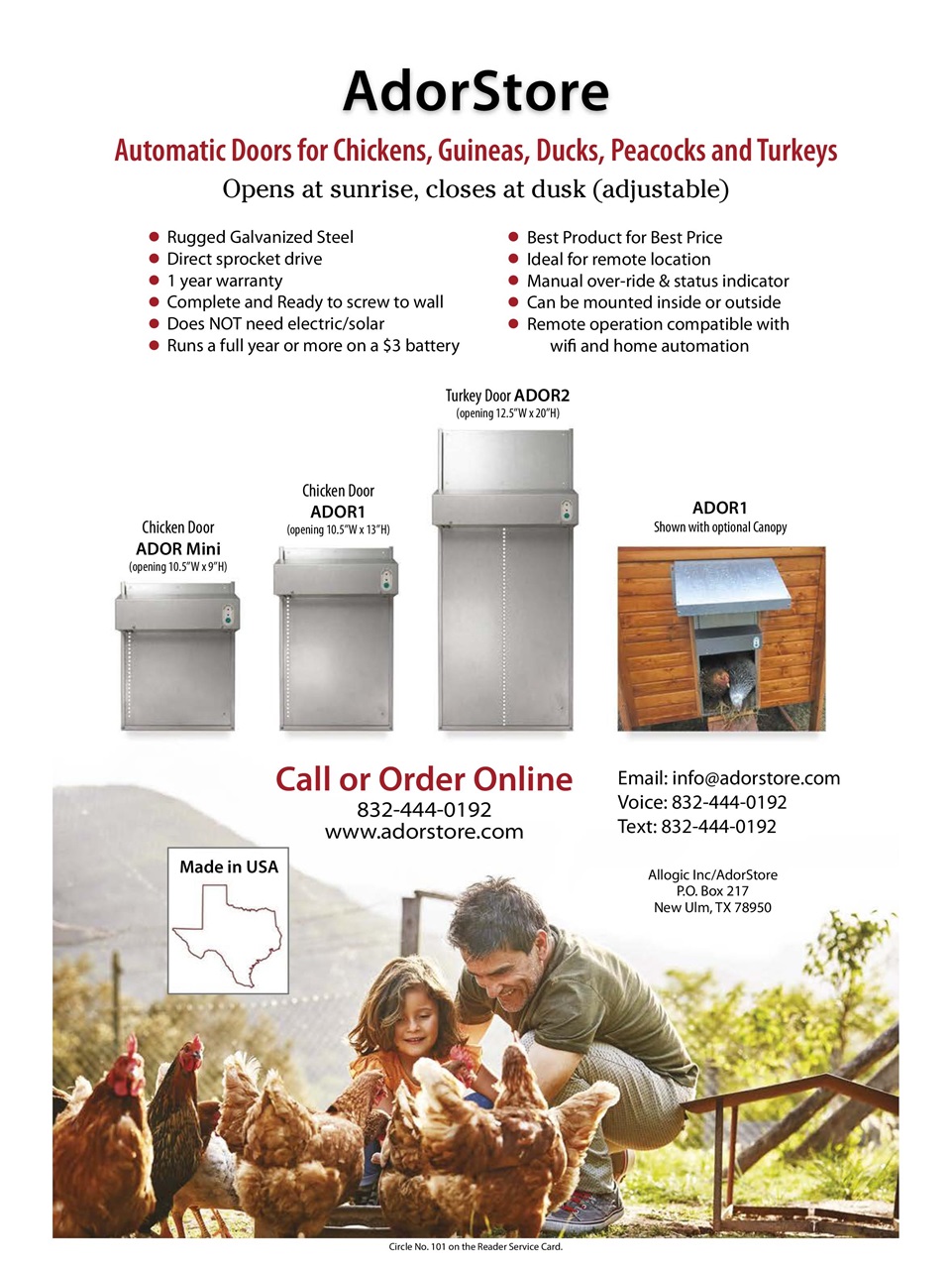 Chickens Magazine Preview Pages