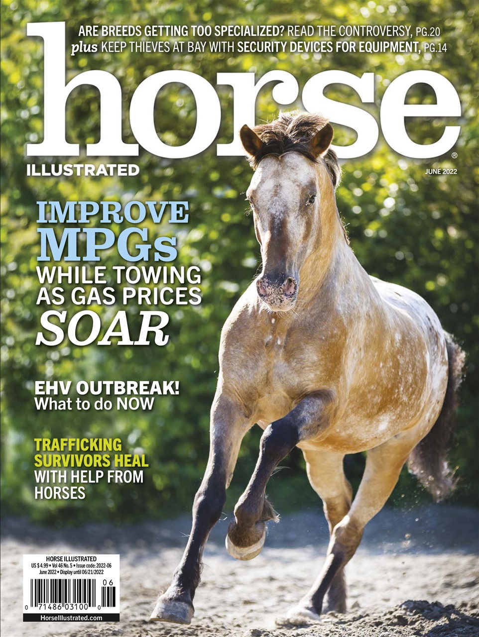 Horse Illustrated Magazine Preview Pages