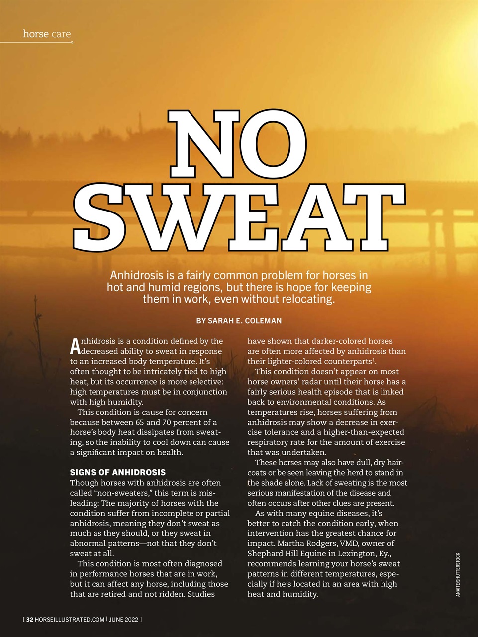 Horse Illustrated Magazine Preview Pages