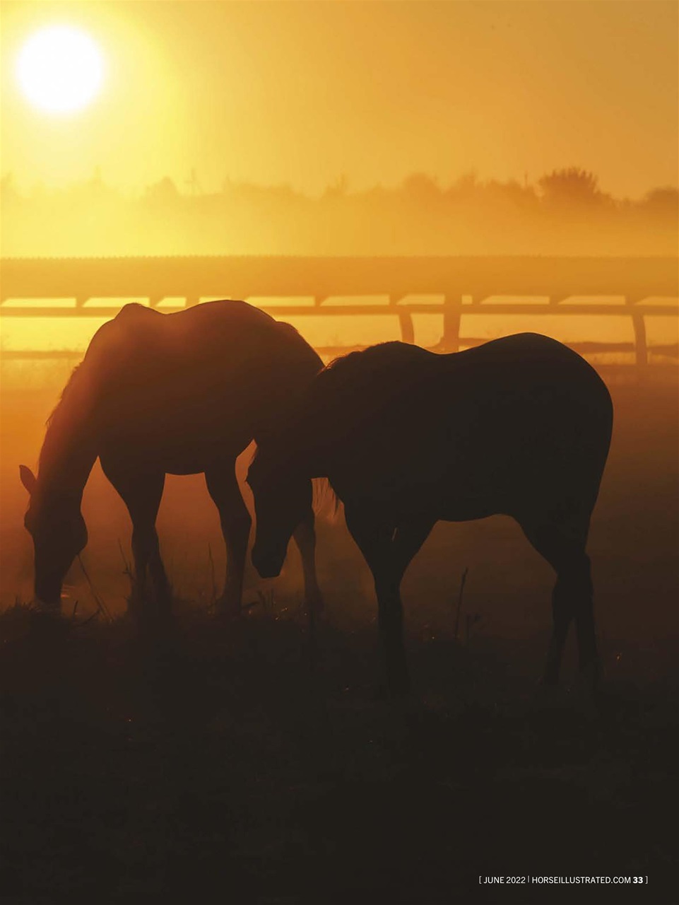 Horse Illustrated Magazine Preview Pages