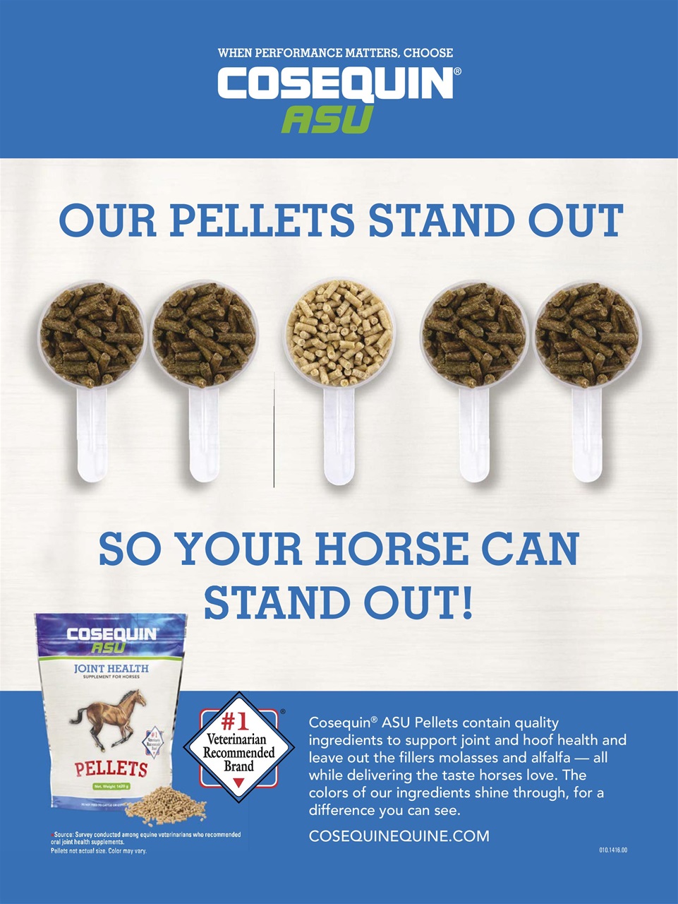 Horse Illustrated Magazine Preview Pages