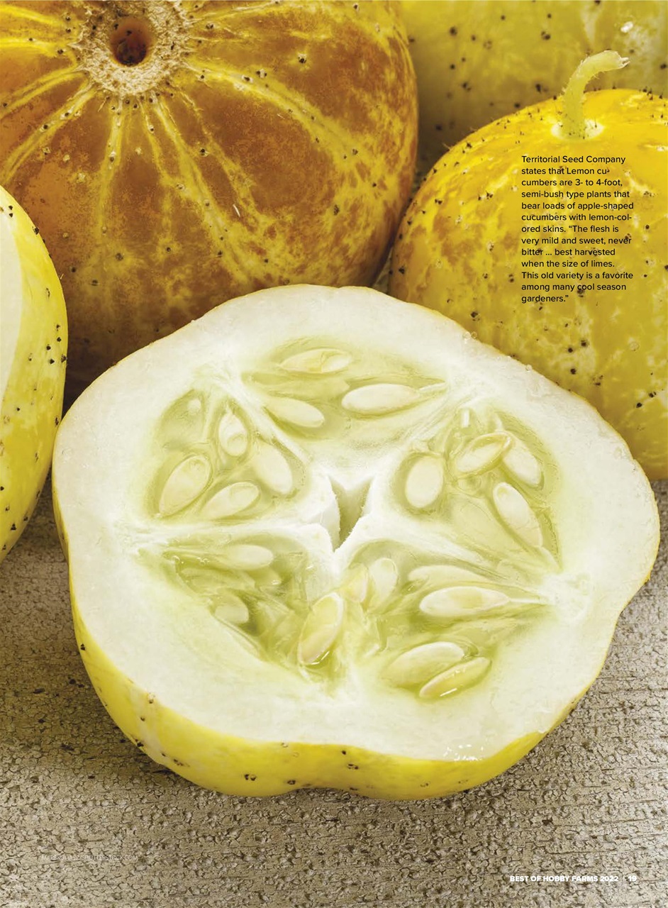 Hobby Farms Magazine Preview Pages