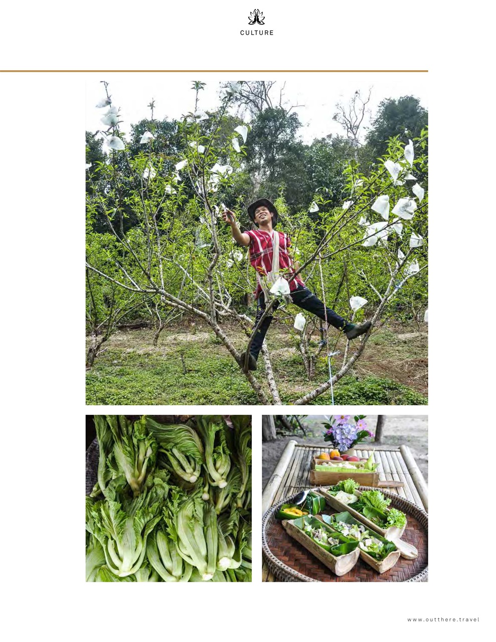 OutThere Preview Pages