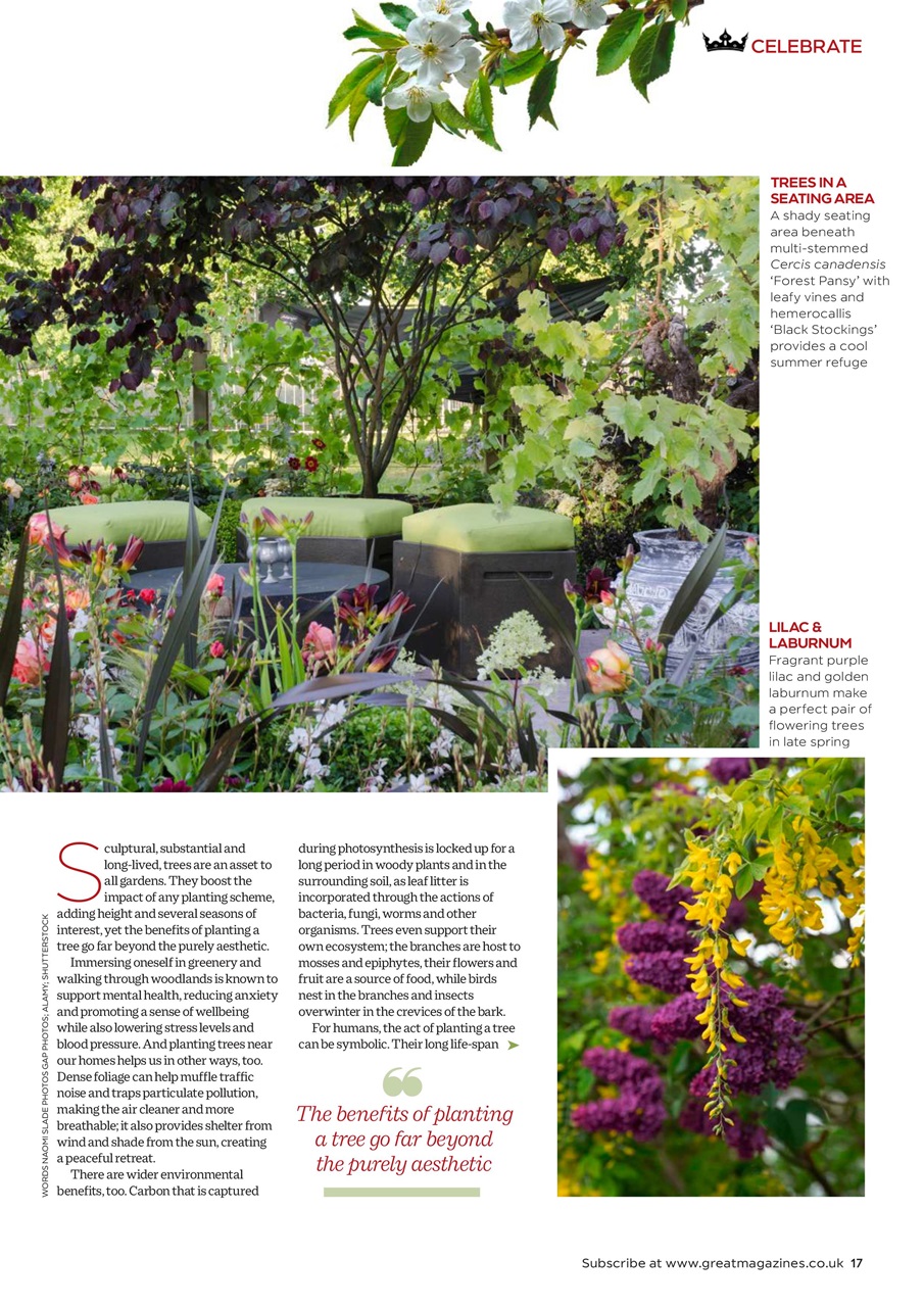 Garden Answers Preview Pages