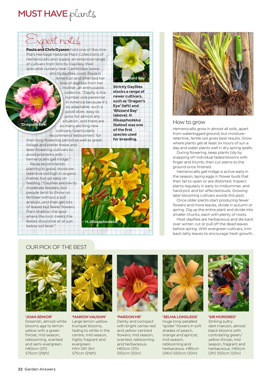 Garden Answers Preview Pages