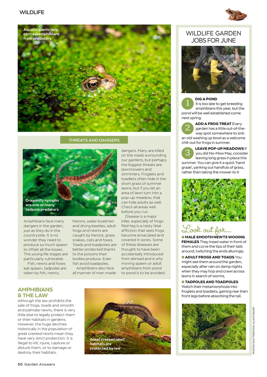 Garden Answers Preview Pages