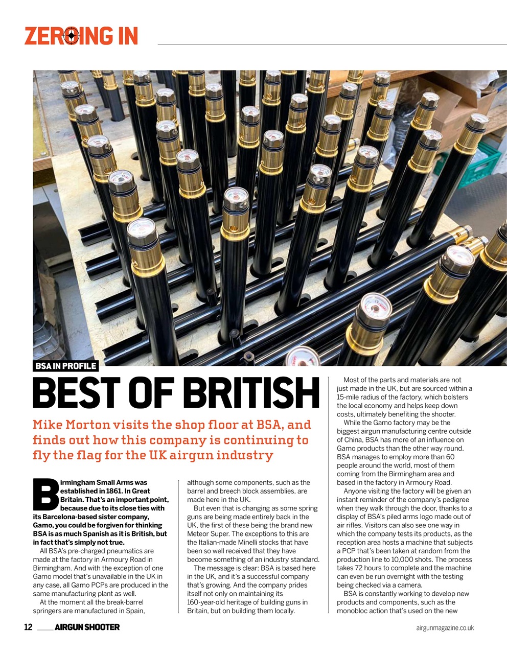 Airgun Shooter Preview Pages