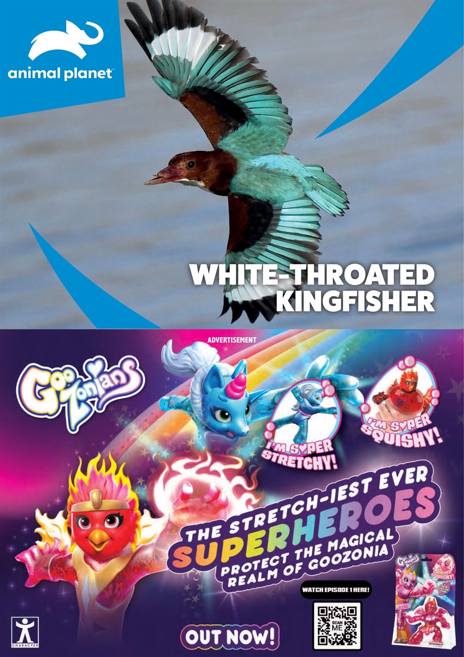 Animal Planet Kids Preview Pages