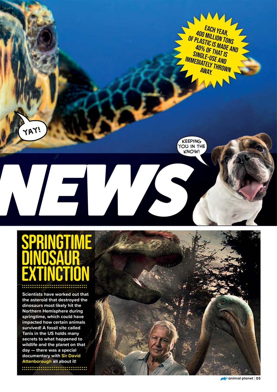 Animal Planet Kids Preview Pages