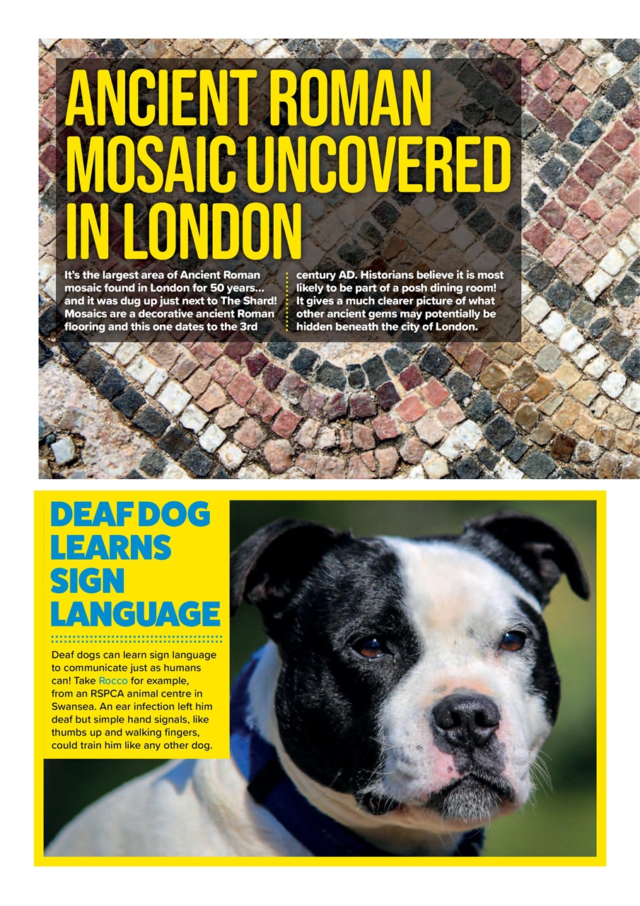 Animal Planet Kids Preview Pages