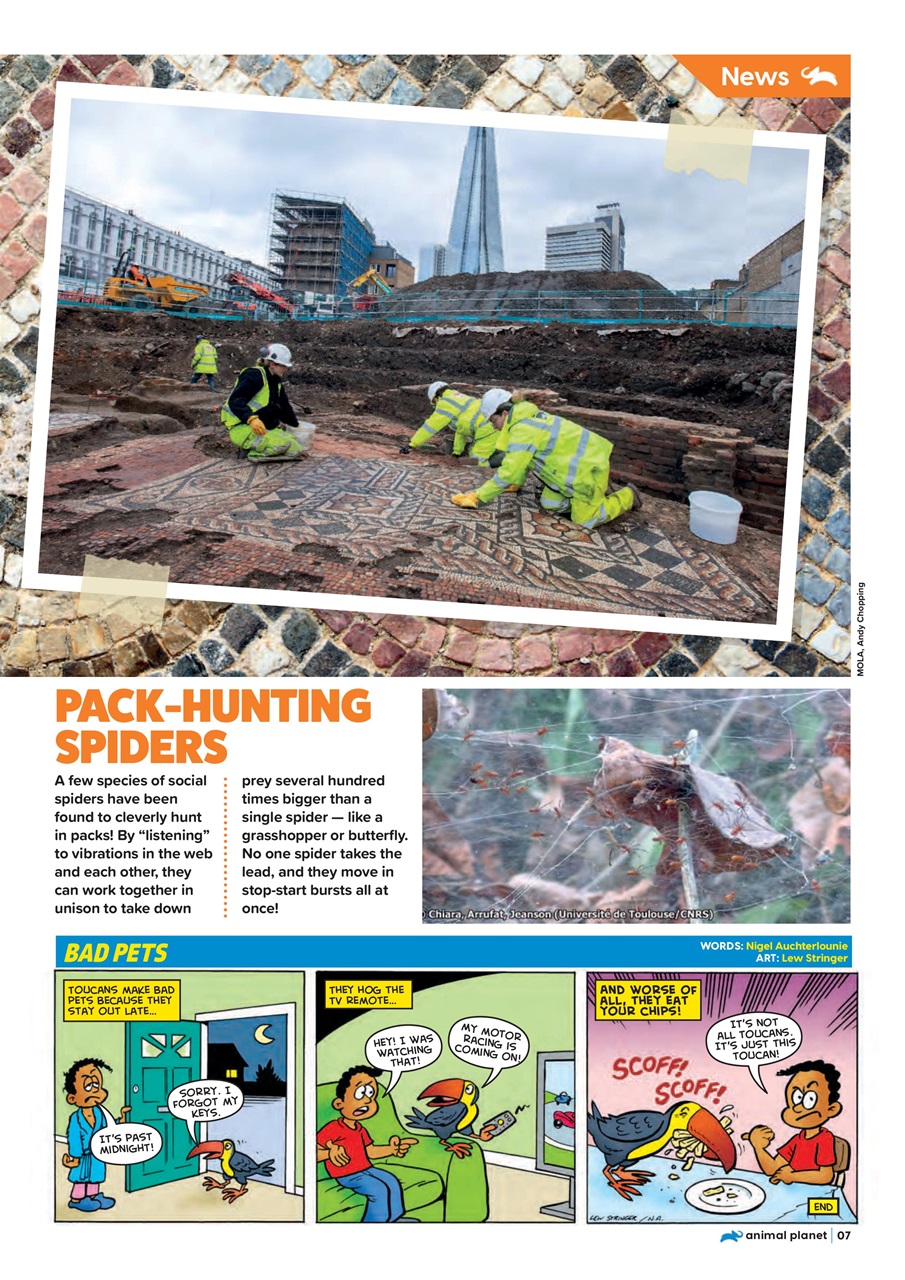 Animal Planet Kids Preview Pages