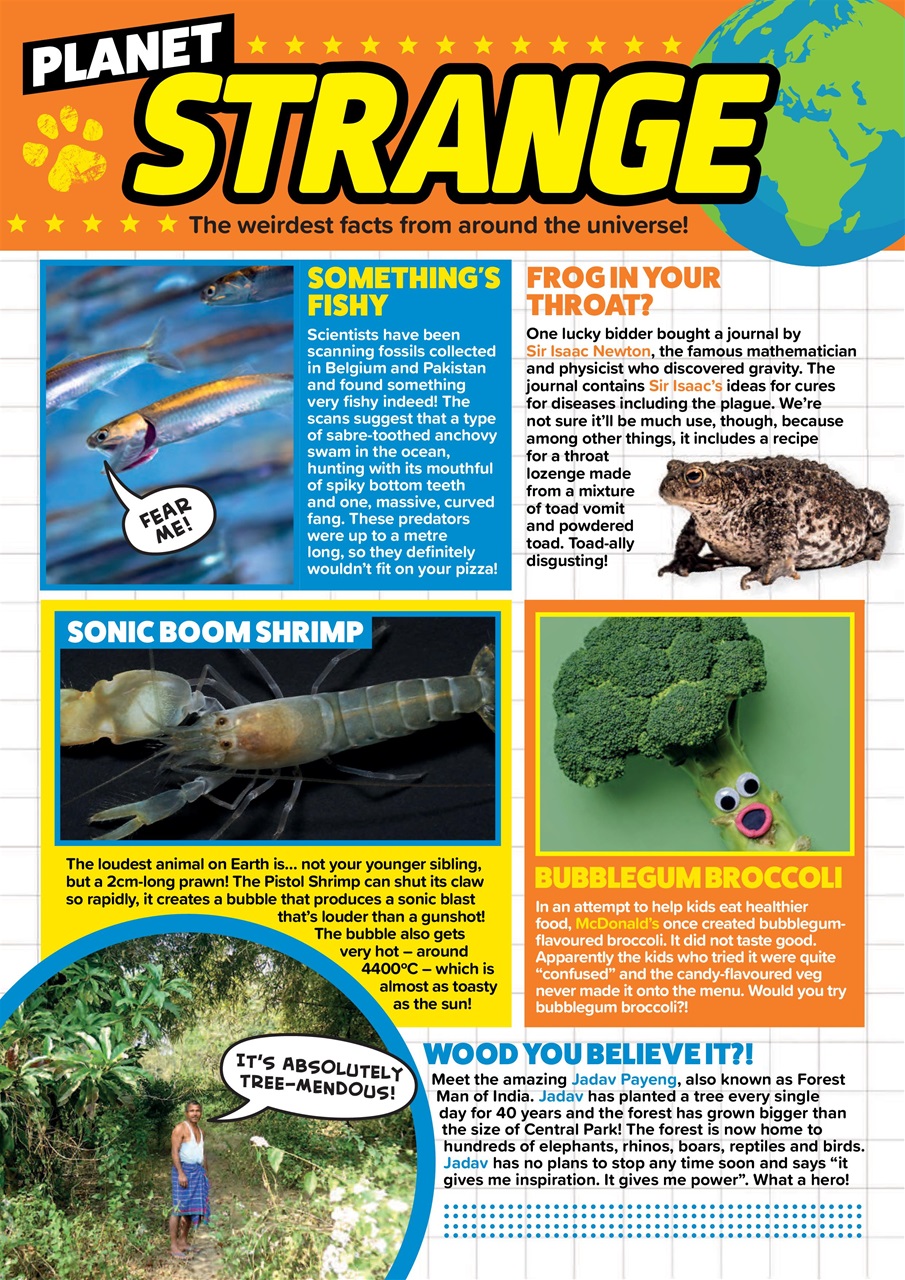 Animal Planet Kids Preview Pages
