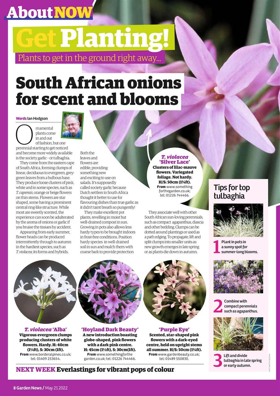 Garden News Preview Pages