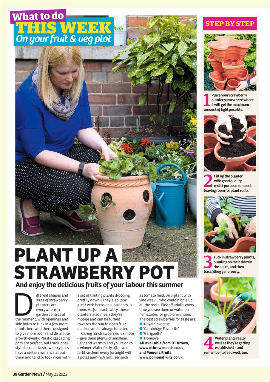 Garden News Preview Pages