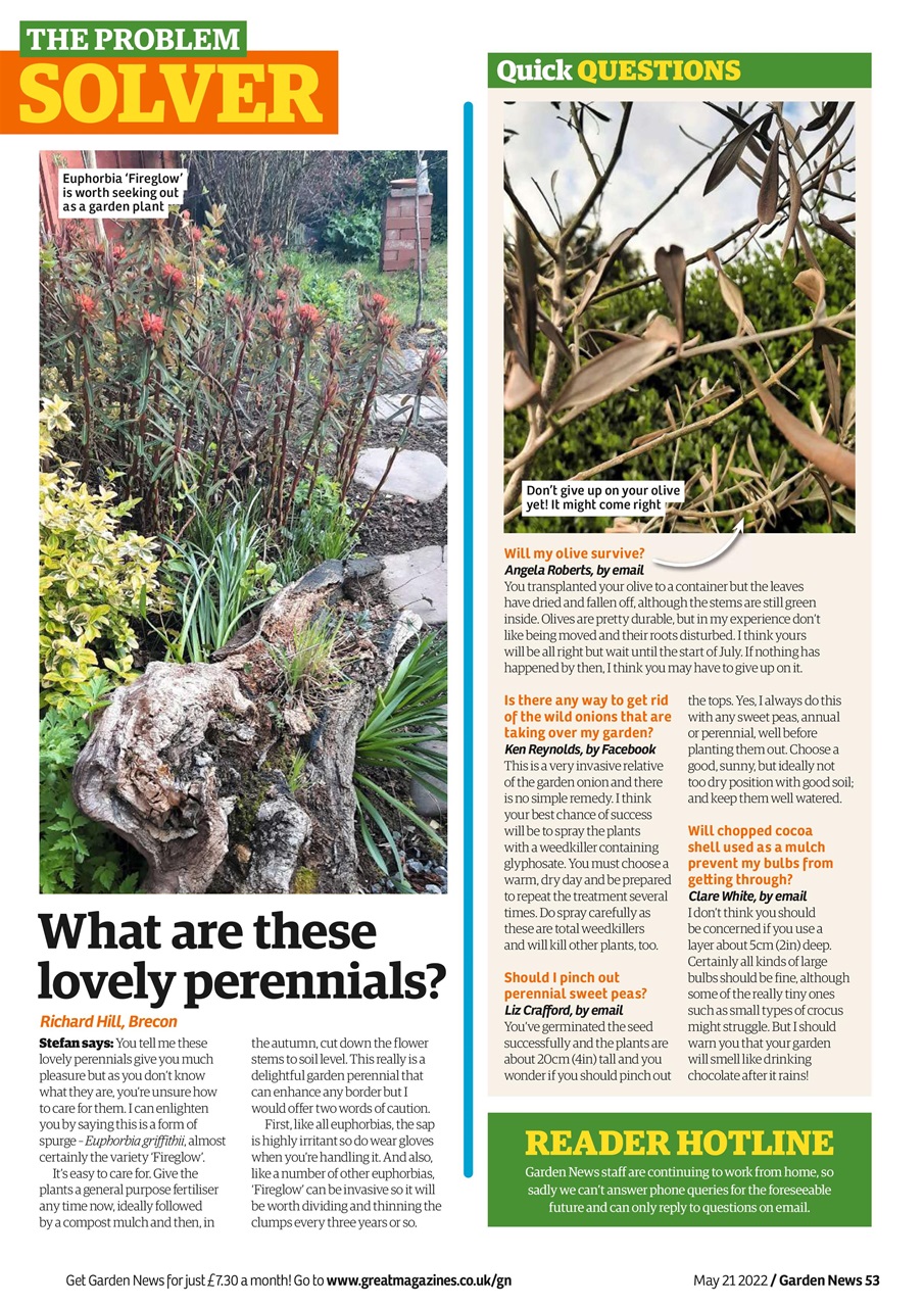Garden News Preview Pages