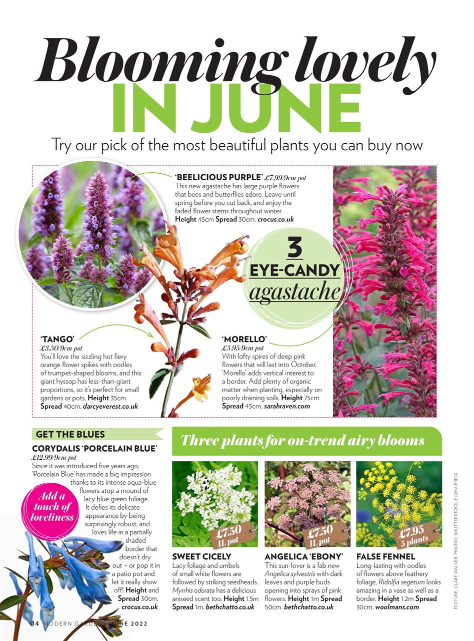 Modern Gardens Preview Pages