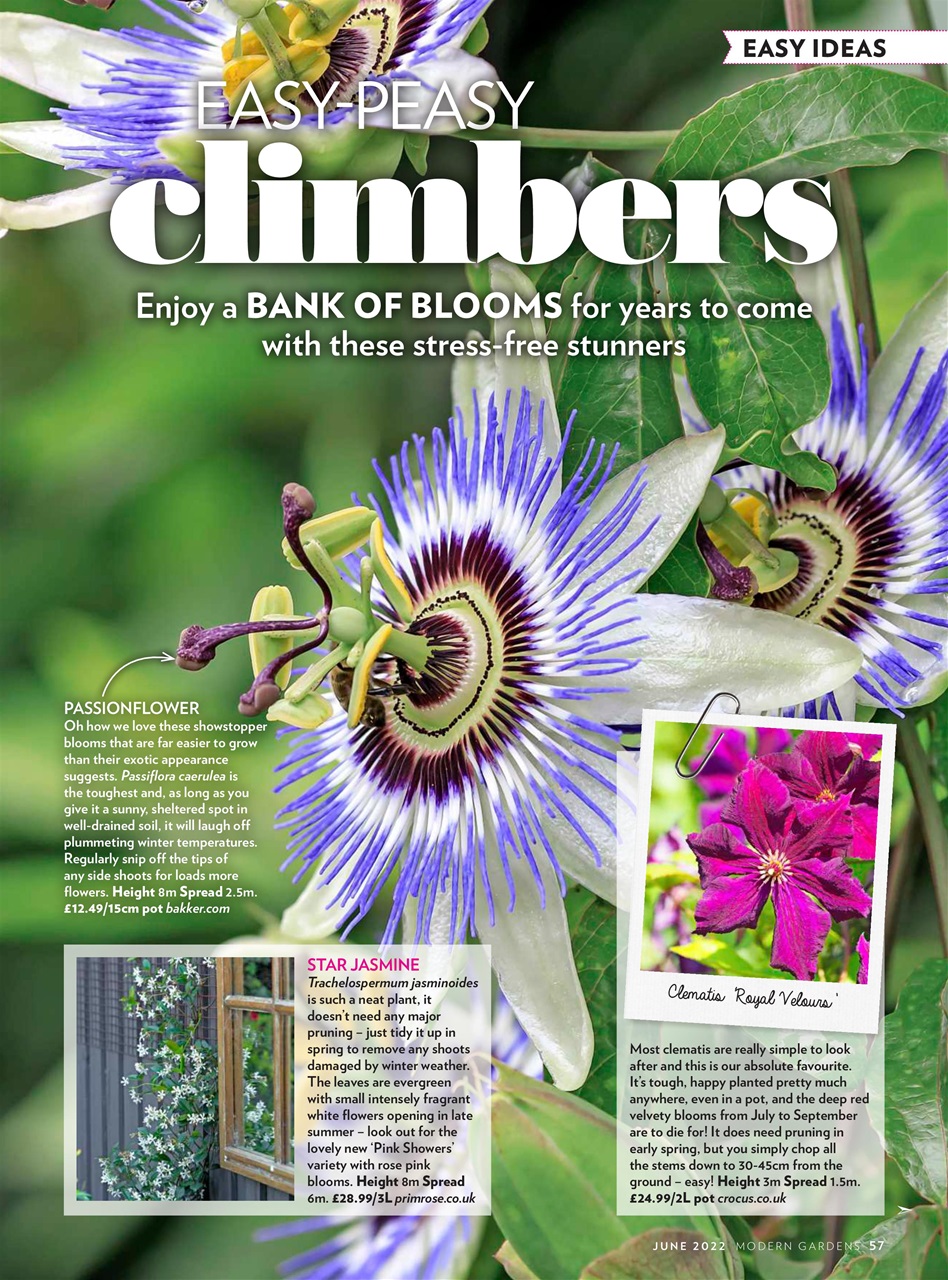 Modern Gardens Preview Pages