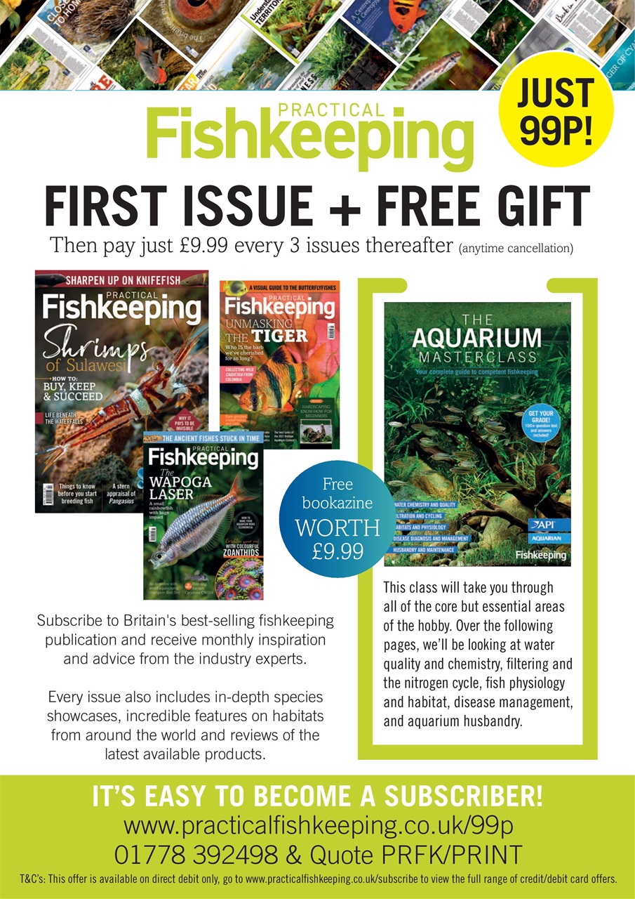 Practical Fishkeeping Preview Pages