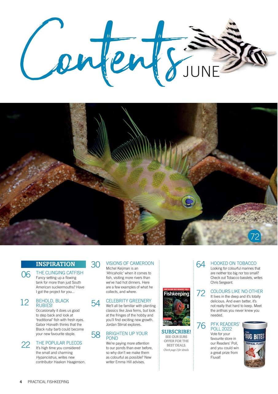 Practical Fishkeeping Preview Pages