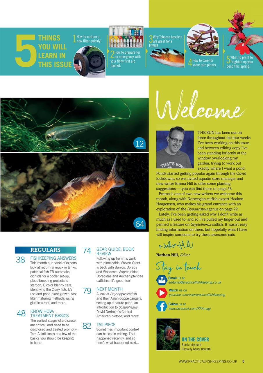 Practical Fishkeeping Preview Pages
