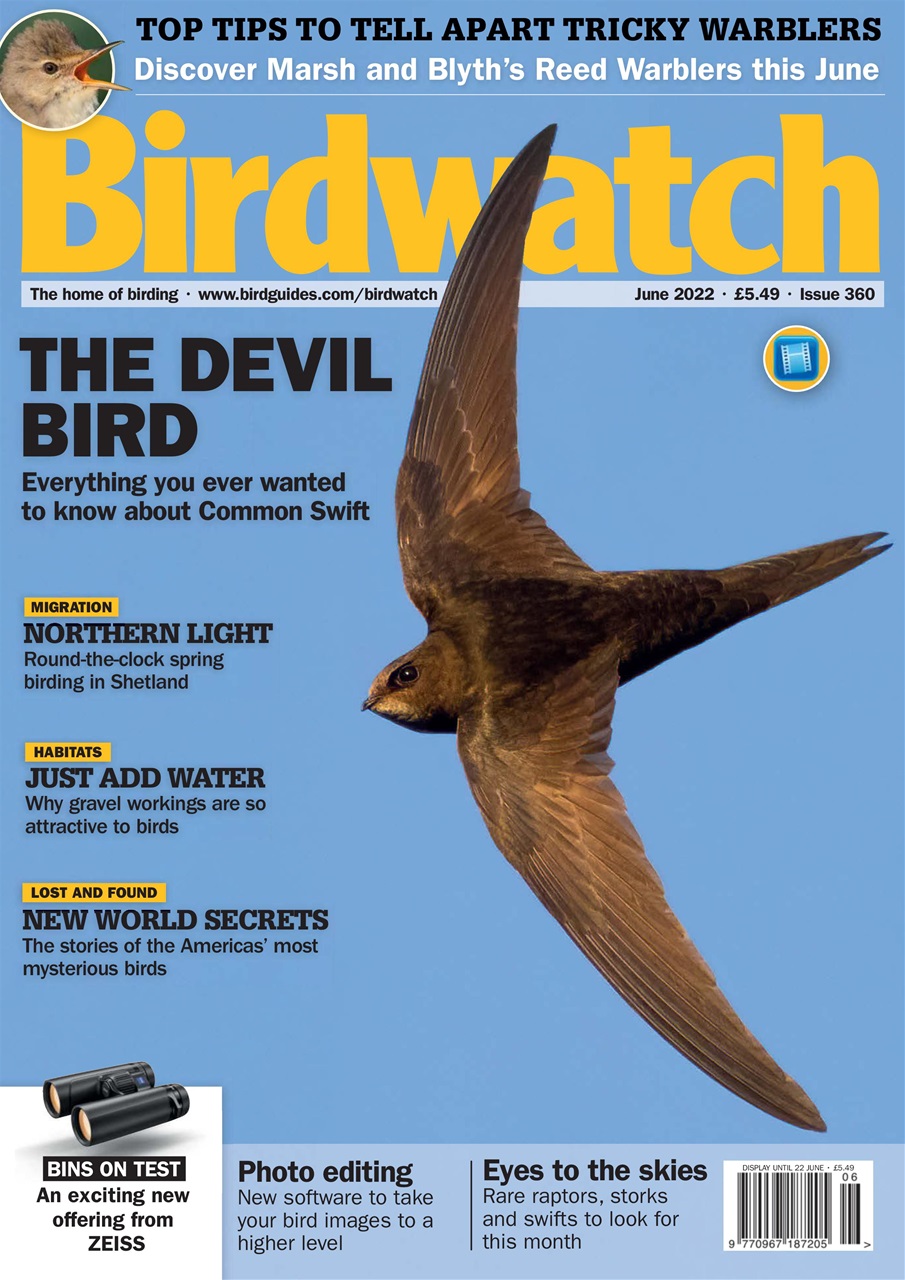 Birdwatch Magazine Preview Pages
