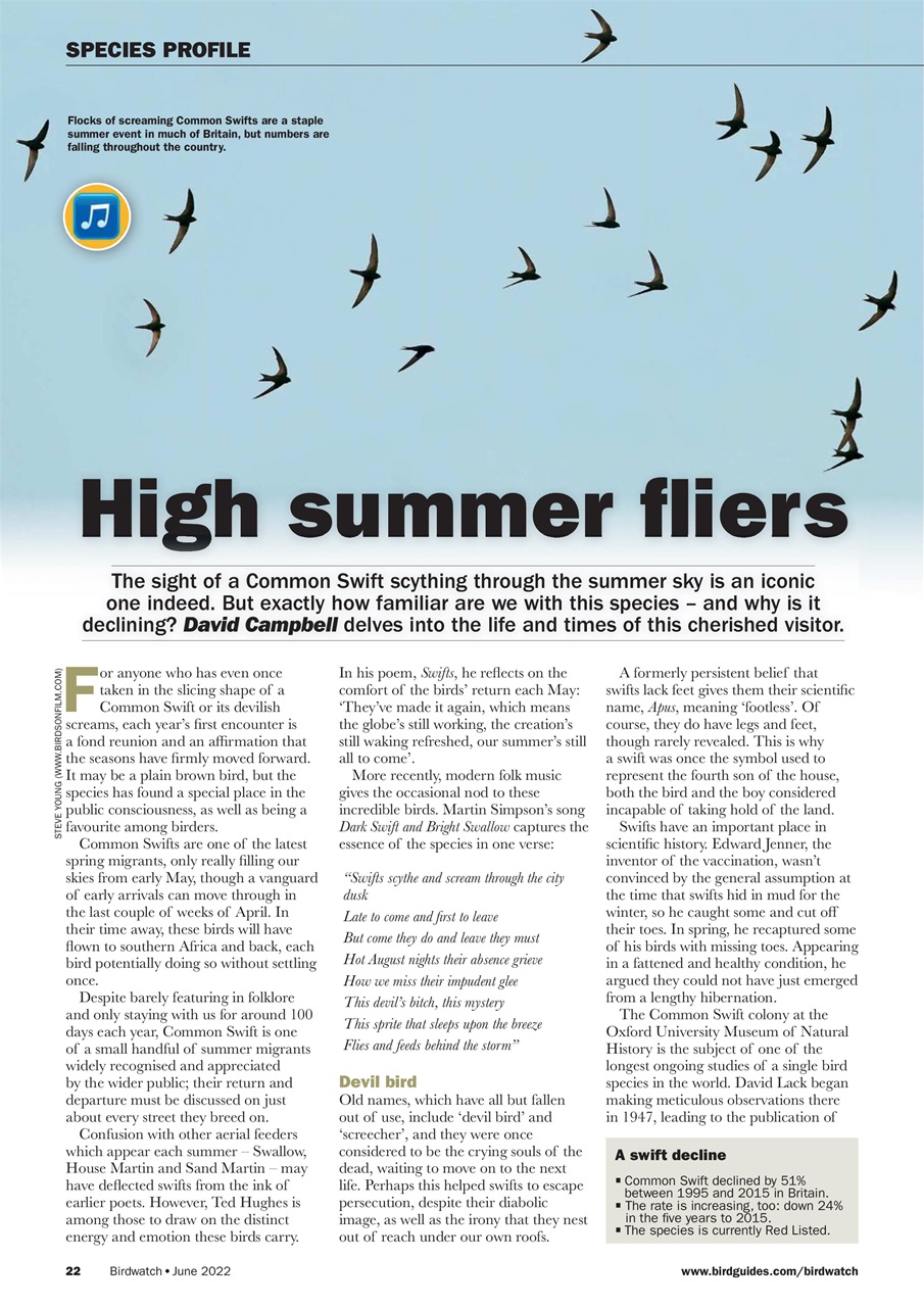Birdwatch Magazine Preview Pages
