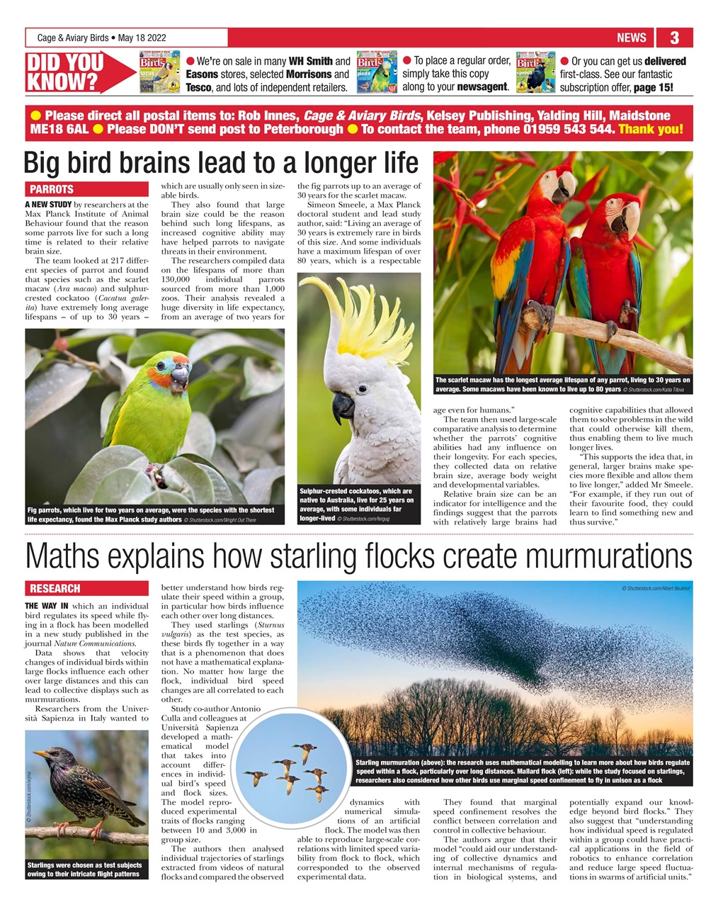 Cage & Aviary Birds Preview Pages