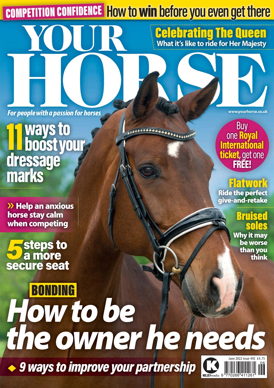 Your Horse Preview Pages