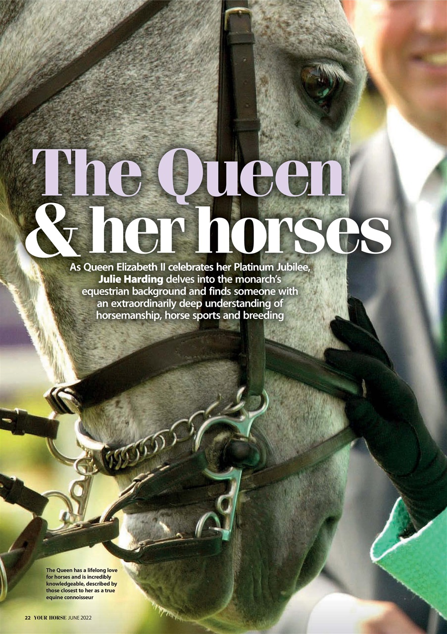 Your Horse Preview Pages