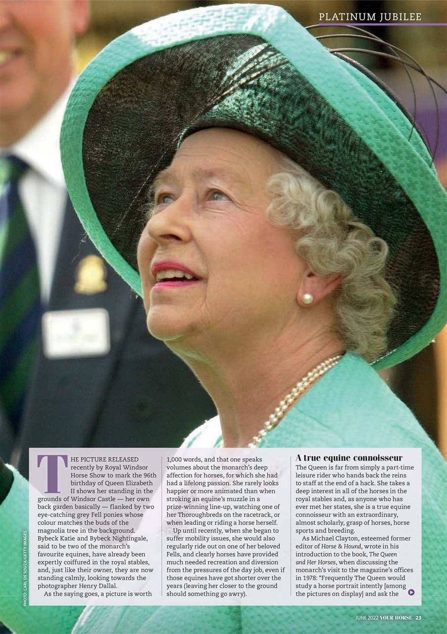 Your Horse Preview Pages