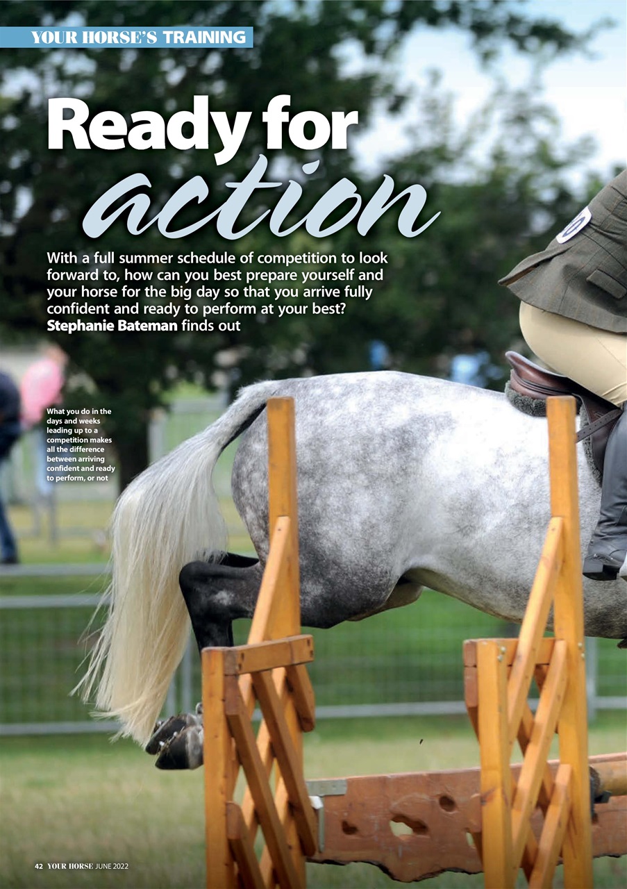 Your Horse Preview Pages