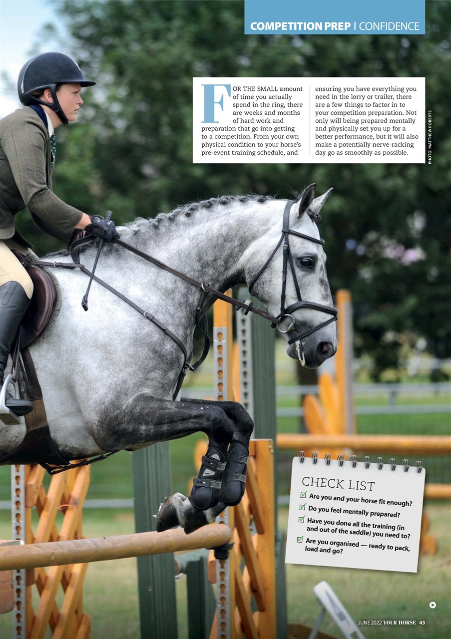 Your Horse Preview Pages