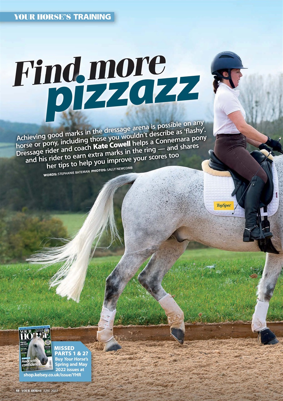 Your Horse Preview Pages