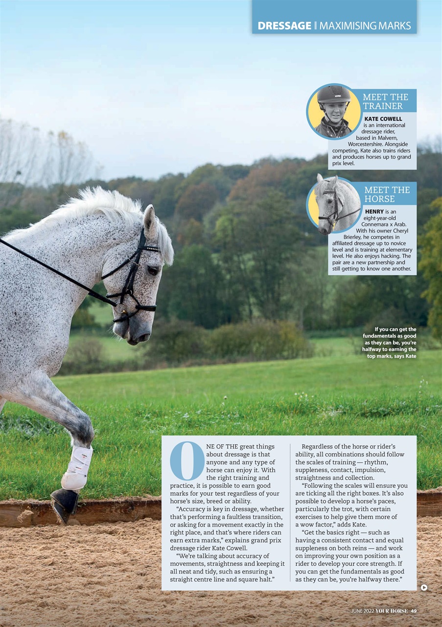 Your Horse Preview Pages