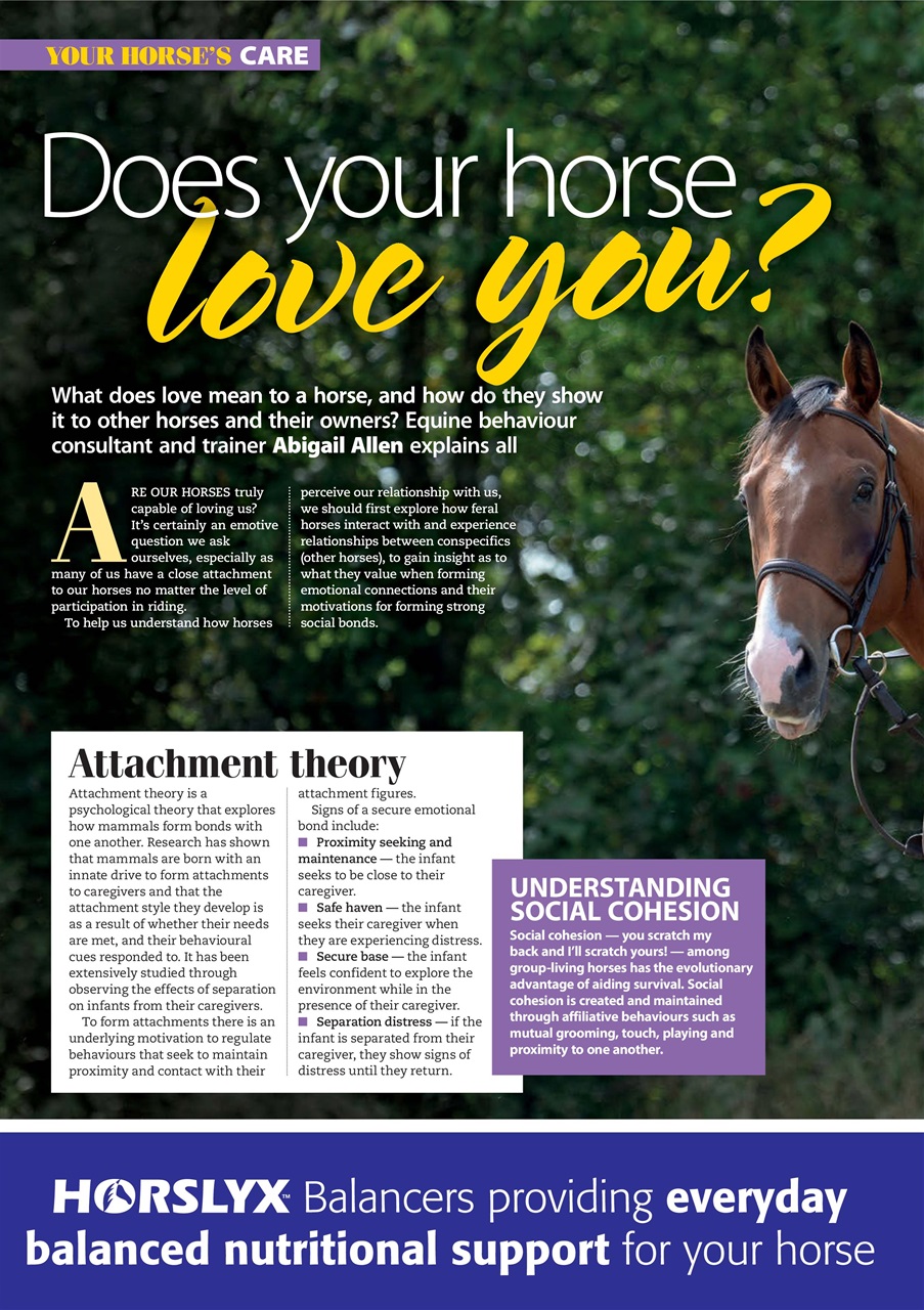 Your Horse Preview Pages