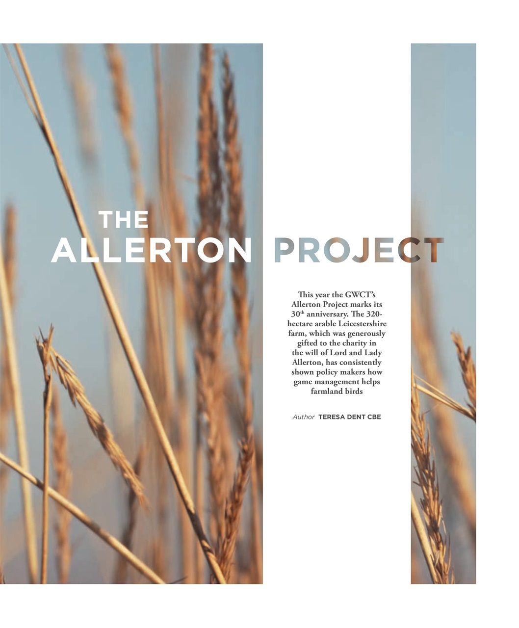 Fieldsports Journal Preview Pages