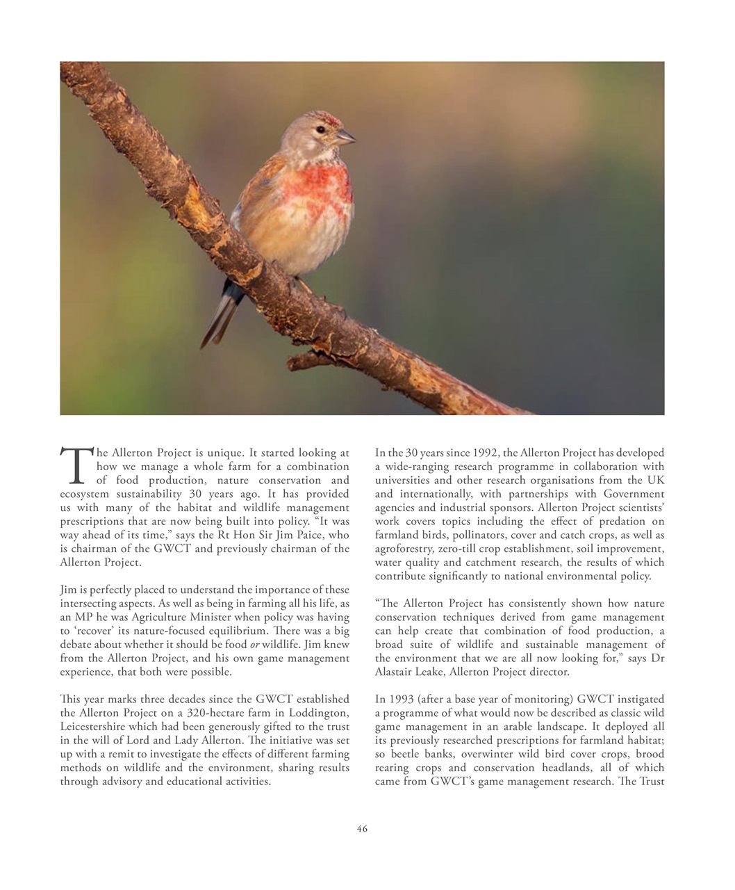 Fieldsports Journal Preview Pages