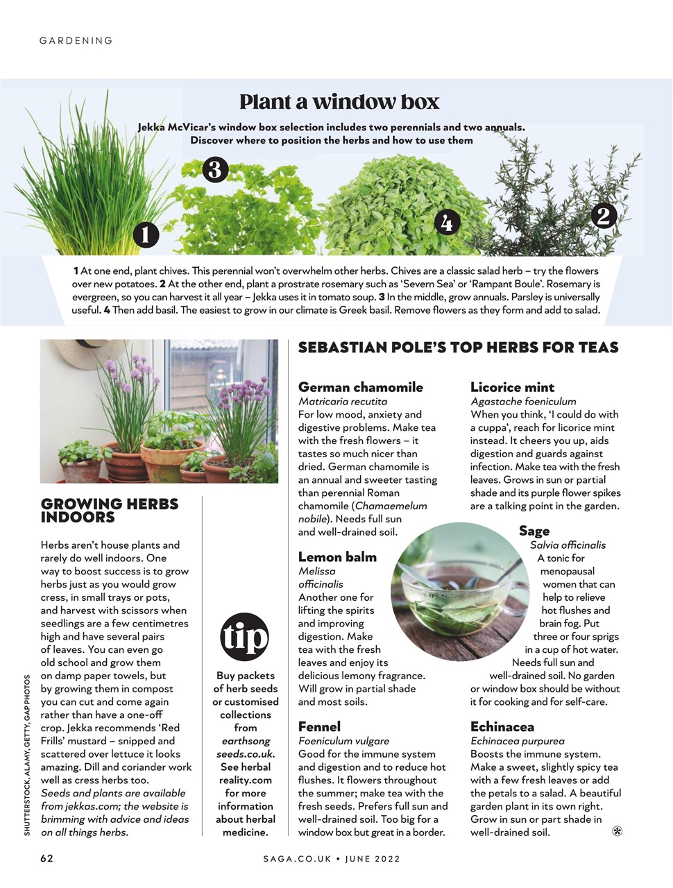 Saga Magazine Preview Pages