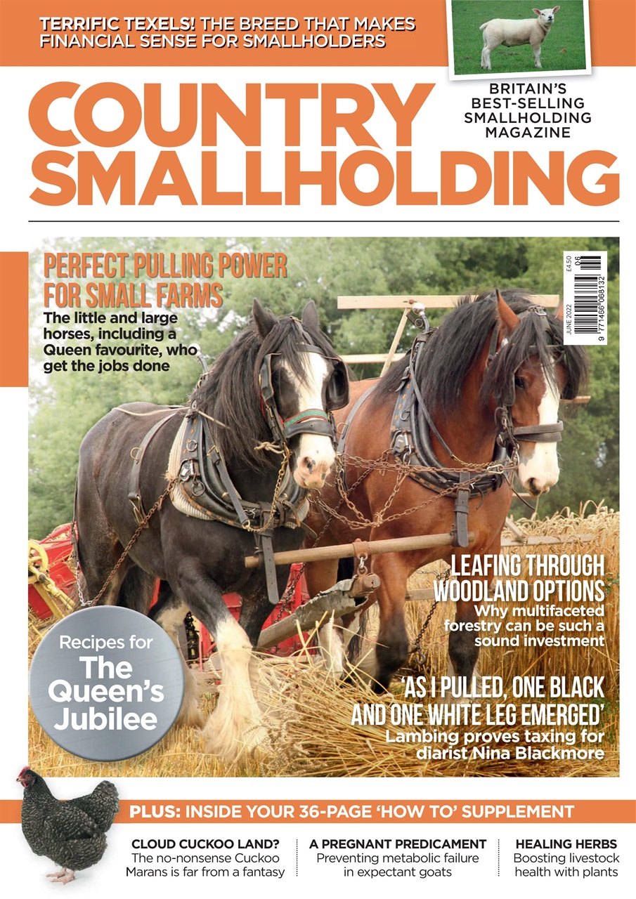 The Country Smallholder Preview Pages