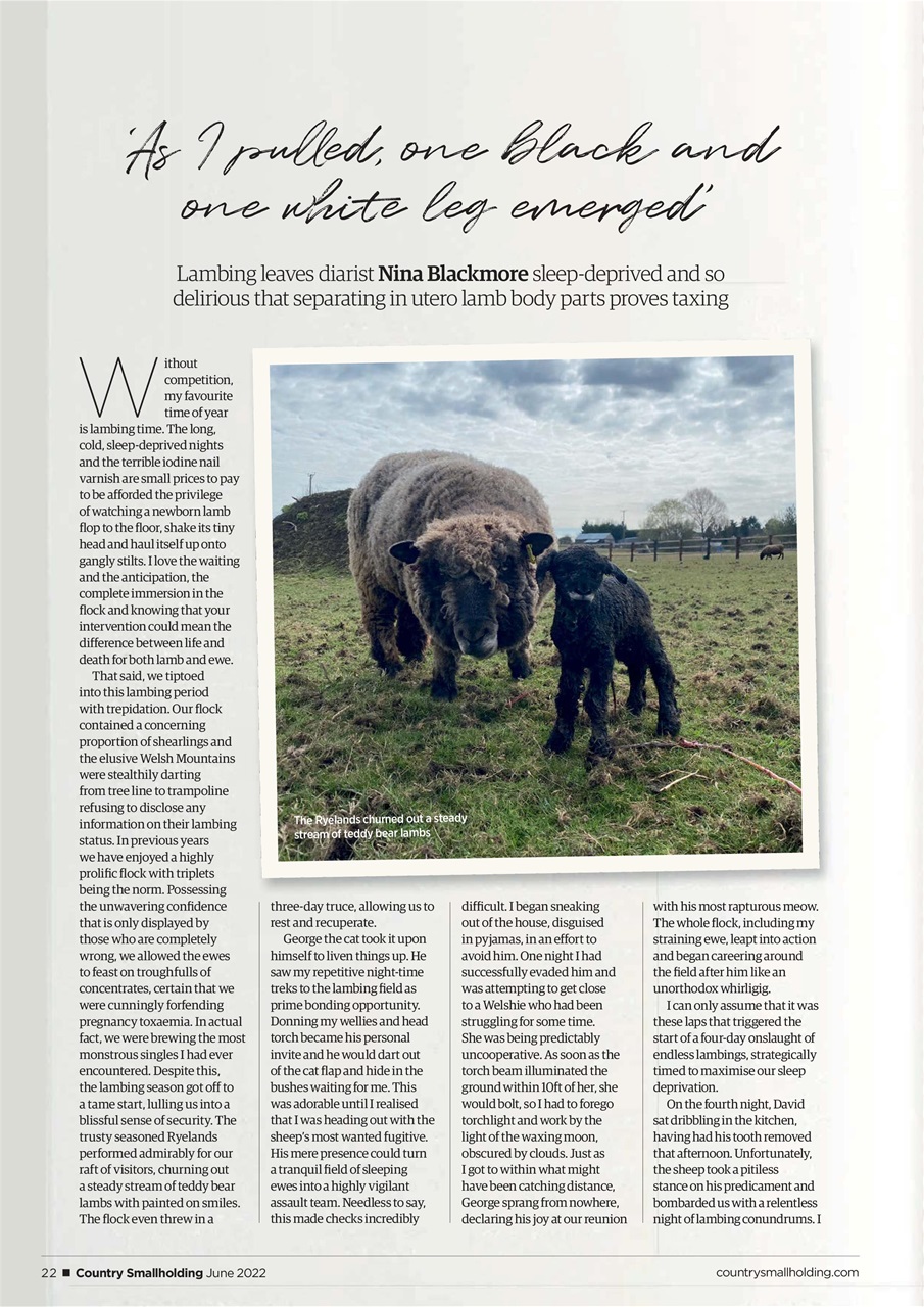 The Country Smallholder Preview Pages